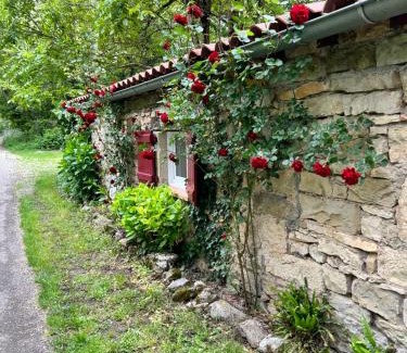 Saint-Antonin Noble Val Bed & Breakfast | Chambre en bordure d'Aveyron