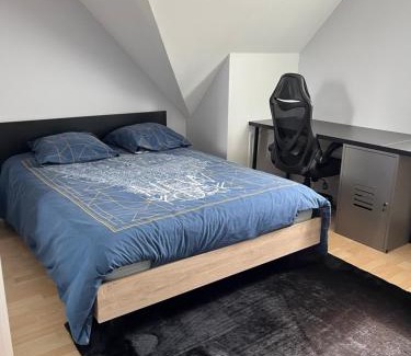 Roeze-sur-Sarthe Bed & Breakfast | Chambre