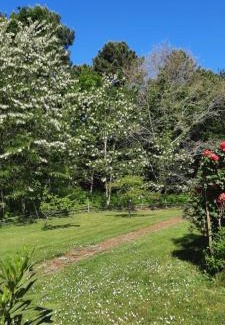 Biscarrosse Bed & Breakfast | Chambres "Blanches" , bâtiment secondaire hotel la Caravelle, vue jardin