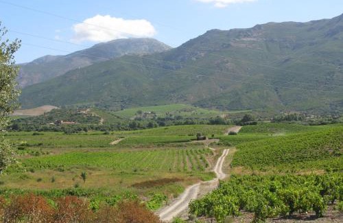 Patrimonio Bed & Breakfast | Chambres d'hôtes Multari