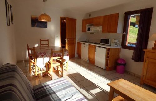 Le Grand-Bornand Apartment | Charmant appartement 6 pers, 38m², proche télécabines, centre et loisirs, sud, terrasse - FR-1-458-118