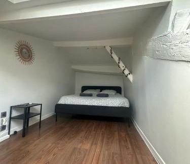 Clermont-Ferrand Apartment | Charmant duplex