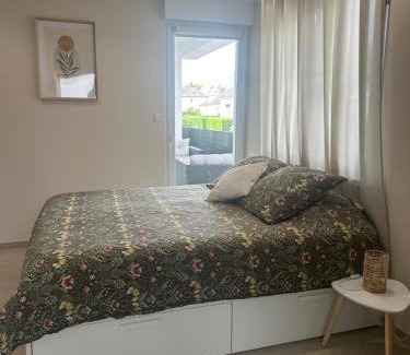 Illkirch-Graffenstaden Apartment | Charmant Studio avec terrasse