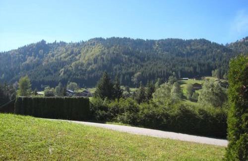 La Clusaz Apartment | Charmant studio avec terrasse et WIFI à La Clusaz - FR-1-459-64