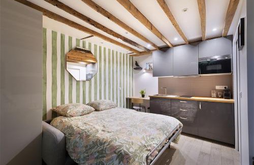 Hopital Saint-Louis Apartment | Charmant studio tout confort