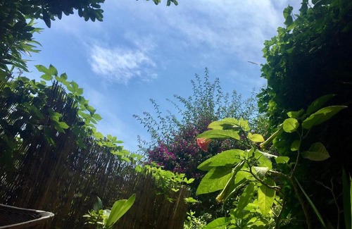 Cimiez Bed & Breakfast | Charmante chambre privée 5/10 mn du CentreVille/Port-Jardin/Parking