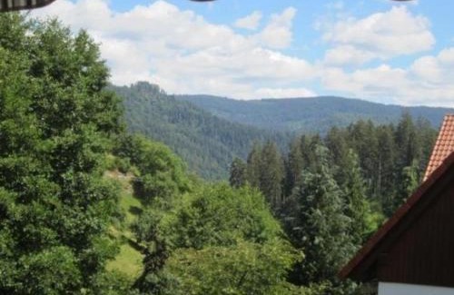 Forbach Apartment | Charmante Wohnung in Bermersbach
