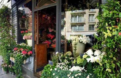 7th Arrondissement Apartment | Charming 1-bedroom studio close to Eiffel Tower