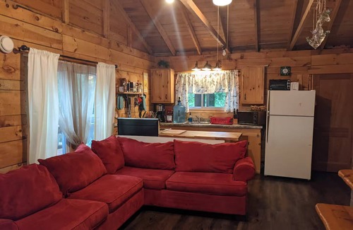 Brantingham Cabin | Charming 2-bedroom on Serene Lake Cabin in Greig