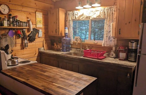 Brantingham Cabin | Charming 2-bedroom on Serene Lake Cabin in Greig