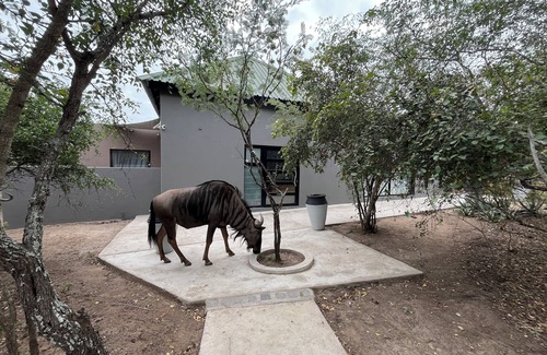 Marloth Park Villa | Charming 2-bedroom villa with WiFi, AC in tranquil Marloth Park
