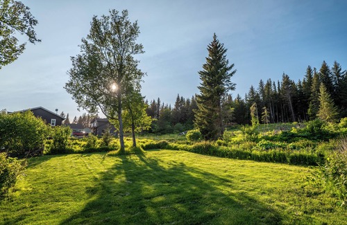 Homer House | Charming 3-bedroom house with Jetted Tub and Big Backyard!