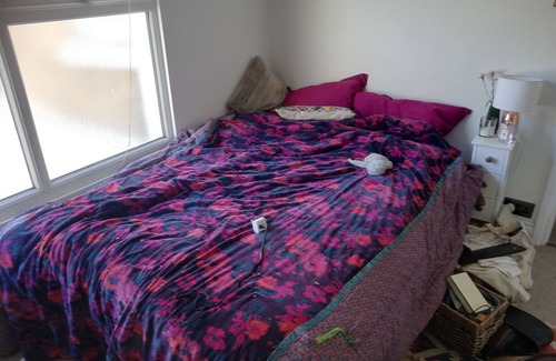 Livesey Apartment | Charming and quiet apartment in leafy central area (family and pet friendly)