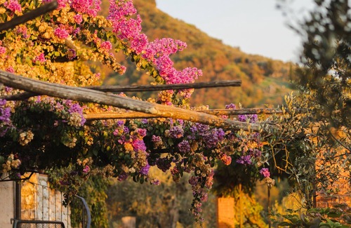 Camaiore Apartment | Charming apt. in historic hamlet ★Pool★ Private patio