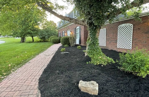 Carbondale House | Charming Brick House in Quiet Carbondale Neighborhood