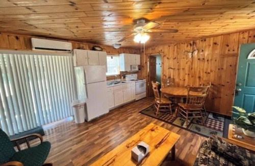 Thompsonville Cabin | Charming Cabin in Thompsonville. Minutes from Crystal Mountain Resort.