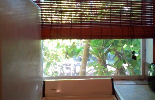 Clearwater Cottage | Charming Cottage Near Beach And Downtown Dunedin