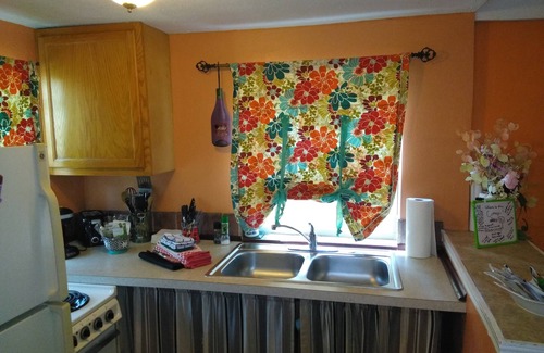 Clearwater Cottage | Charming Cottage Near Beach And Downtown Dunedin