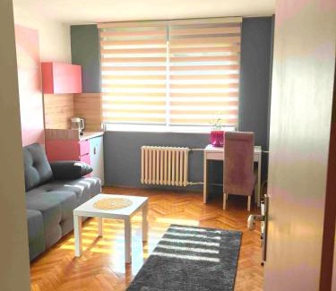 City Center Apartment | Charming Downtown Room