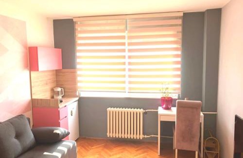 City Center Apartment | Charming Downtown Room