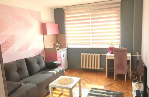 City Center Apartment | Charming Downtown Room