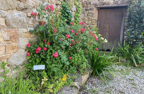 Carolles House | Charming holiday home, in the heart of the bay of Mont St. Michel