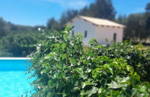 Sao Bartolomeu House | Charming house in the countryside