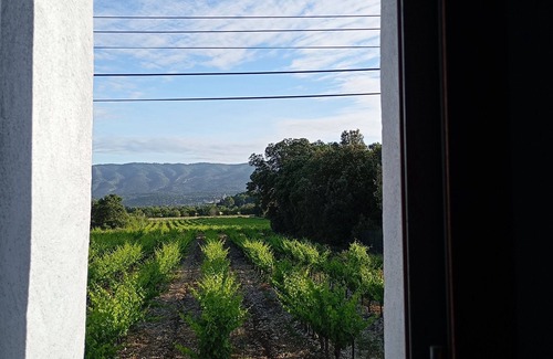 Bedoin House | Charming old family house at the foot of Mont Ventoux - Provence