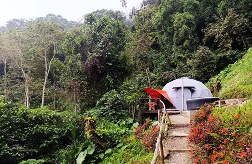 Bucaramanga Cabin | Charming Popetas Dome cabin in Floridablanca, Santander, Colombia!