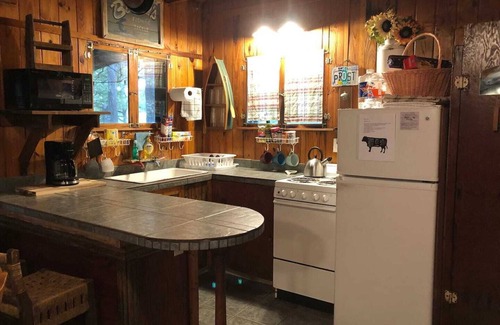 New Braunfels Cabin | Charming River Cabin WITH RV