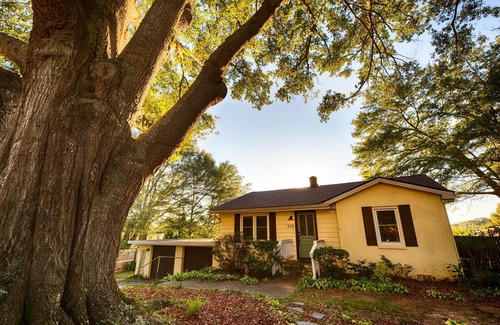Smyrna House | Charming Smyrna Pet Friendly Home close to Braves