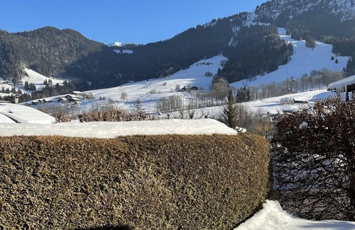 Praz-sur-Arly Apartment | Charming studio+garden with slope view in Praz-sur-Arly