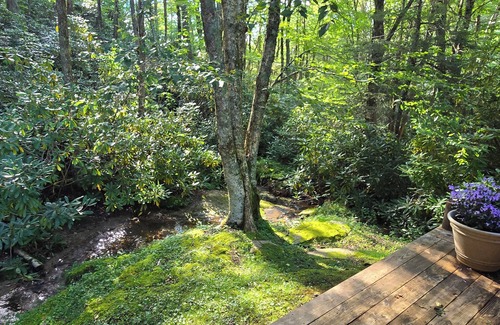 Panorama Estates Cabin | Charming Tiny Cabin