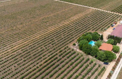 Sassari Villa | Charming Villa set in a beautiful olive groves
