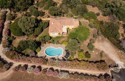 Calvi Villa | Charming villa with swimming pool - 10 min from Calvi.