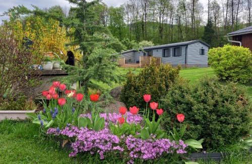 Loucna nad Desnou Apartment | Chata Idylka - Nová chata se zahradou