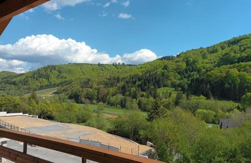 Myto pod Dumbierom Ski Chalet | Chata Lenka Mýto pod Ďumbierom 657