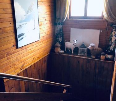 Vitkovice House | Chata u Kostela