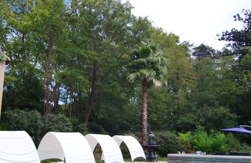 Saint-Pargoire House | Chateau Rieutort - 18th century wine estate with 7 gites and 5 rooms B & B