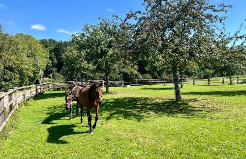 Saint-Symphorien House | Chaumière cosy proche bourg - Jardin - Campagne