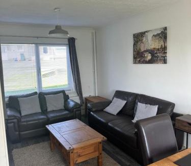 Milford Haven House | Cherry Tree