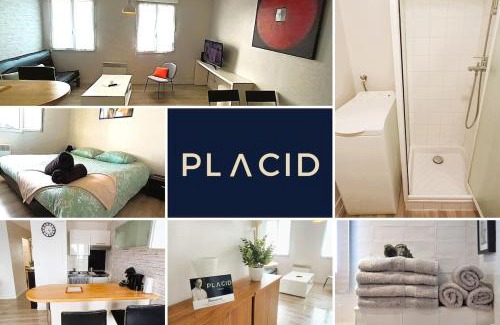 Tours Apartment | Chez Auguste - T2 spacieux - wifi - tv
