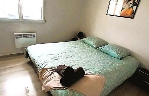 Tours Apartment | Chez Auguste - T2 spacieux - wifi - tv