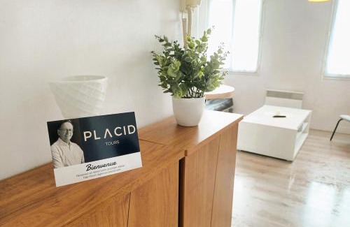 Tours Apartment | Chez Auguste - T2 spacieux - wifi - tv