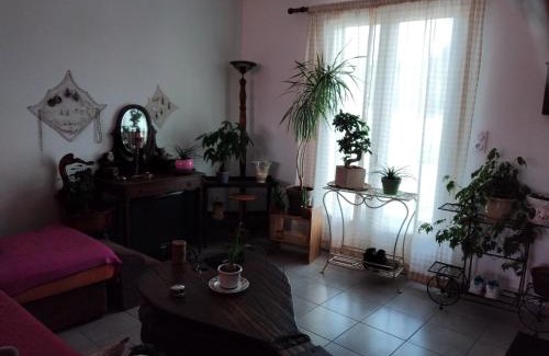 Saint-Julien-en-Born House | Chez Cathy