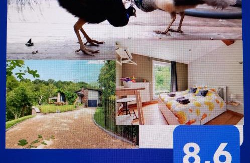 Aywaille House | Chez Madame Irma