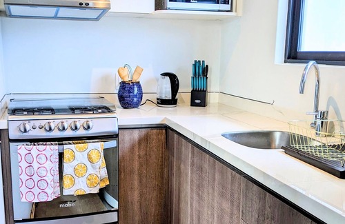 Roma Sur Apartment | Chic Condo with Private Rooftop in Heart of Mexico City