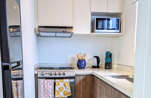 Roma Sur Apartment | Chic Condo with Private Rooftop in Heart of Mexico City