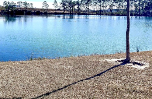 Pooler Apartment | Chic Mid-Century Getaway ~ Queen Bed ~ Pool ~ Gym!