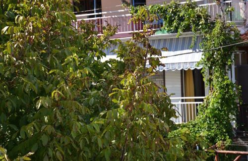 Chrisi Akti Hotel | Chrisi Akti Hotel